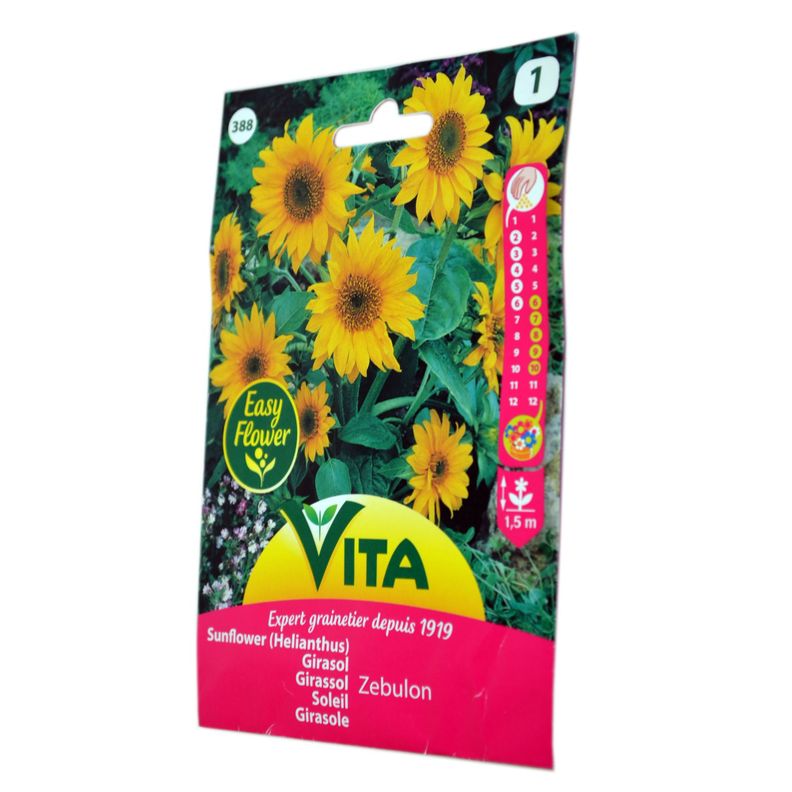 Semilla corriente zebulón girasol desinfectada x3 g vita-1