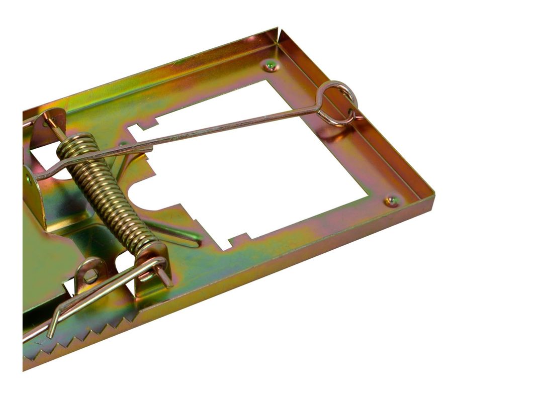 Trampa ratón Lioi-1