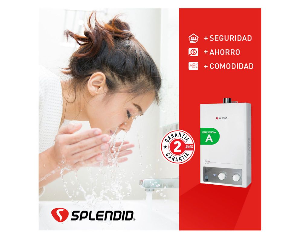 Calefont ionizado tiro forzado 10 litros gas licuado Master Splendid-2