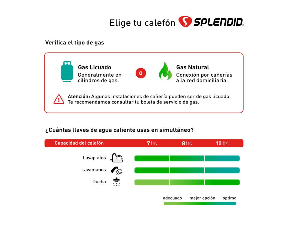 Calefont ionizado tiro natural 8 litros gas licuado Master Splendid-4