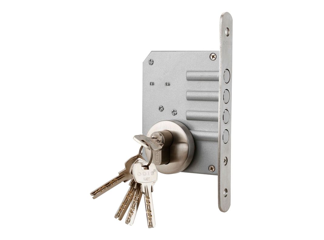 Cerrojo embutir acceso 605 acero inoxidable Odis-1