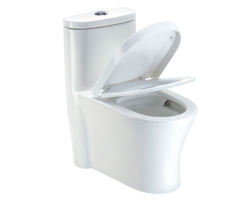 One piece 30 cm Dual flush Atenas Vessanti-1