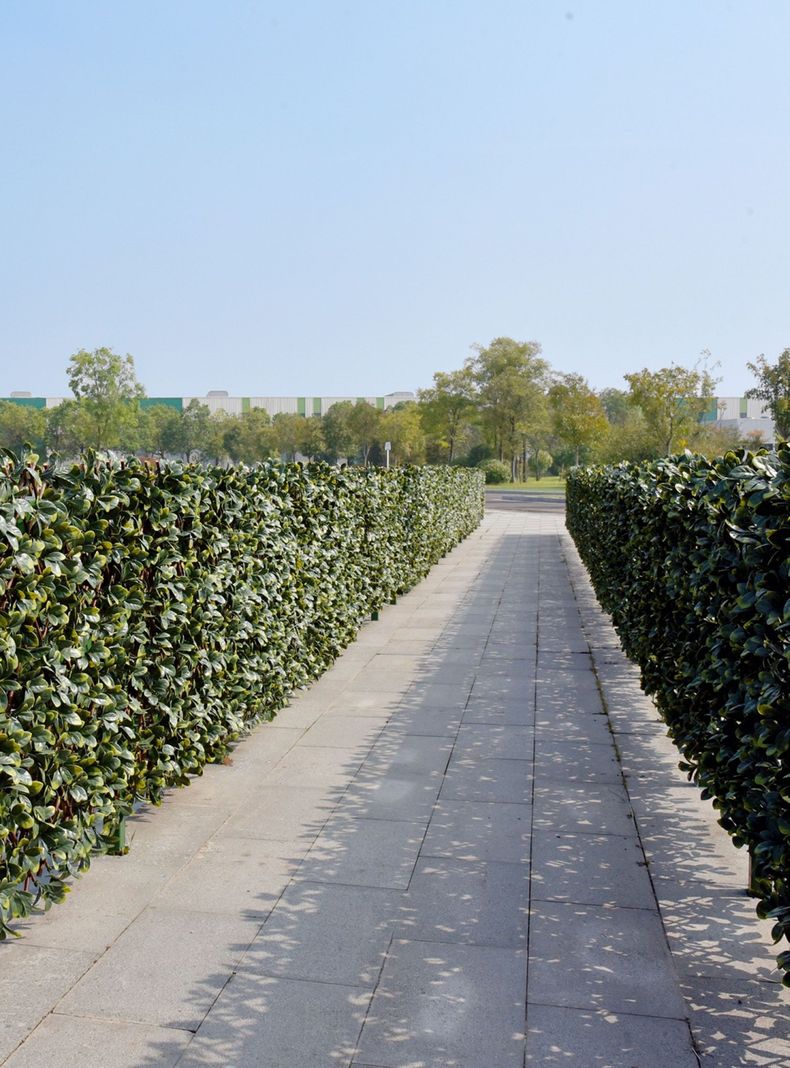 Valla Artificial Pared Willow-2