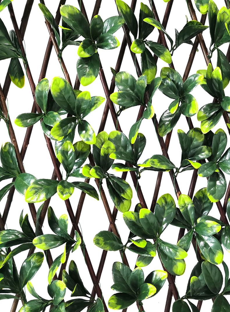 Valla Artificial Pared Willow-1