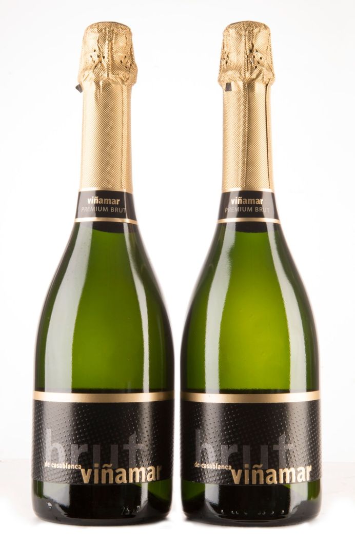 Pack Viñamar 2 Espumantes Brut-0