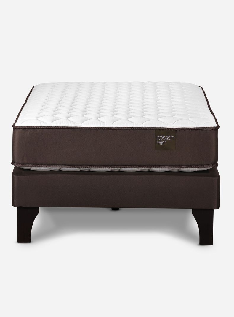 Cama Europea Ergo T 1 Plazas + Respaldo Rachel-1