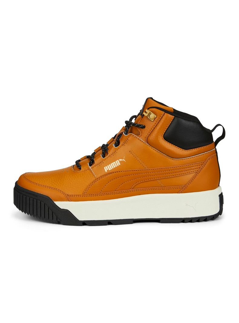 Zapatilla Urbana Tarrenz SB II Hombre-1