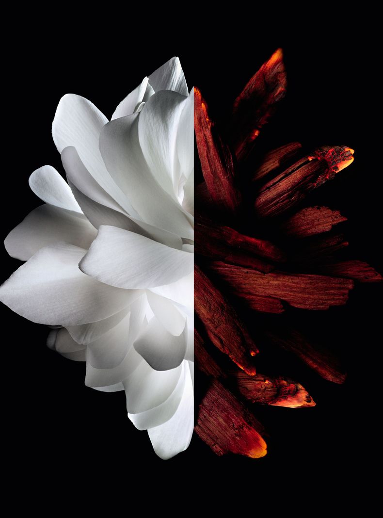 Perfume Givenchy L'Interdit  Rouge EDP Mujer 80 ml-4