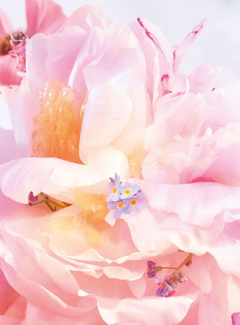 Perfume Miss Dior Blooming Bouquet EDT Mujer 150 ml-2