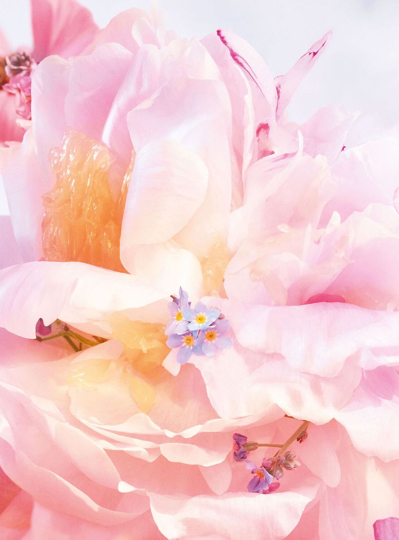 Perfume Miss Dior Blooming Bouquet EDT Mujer 50 ml-2