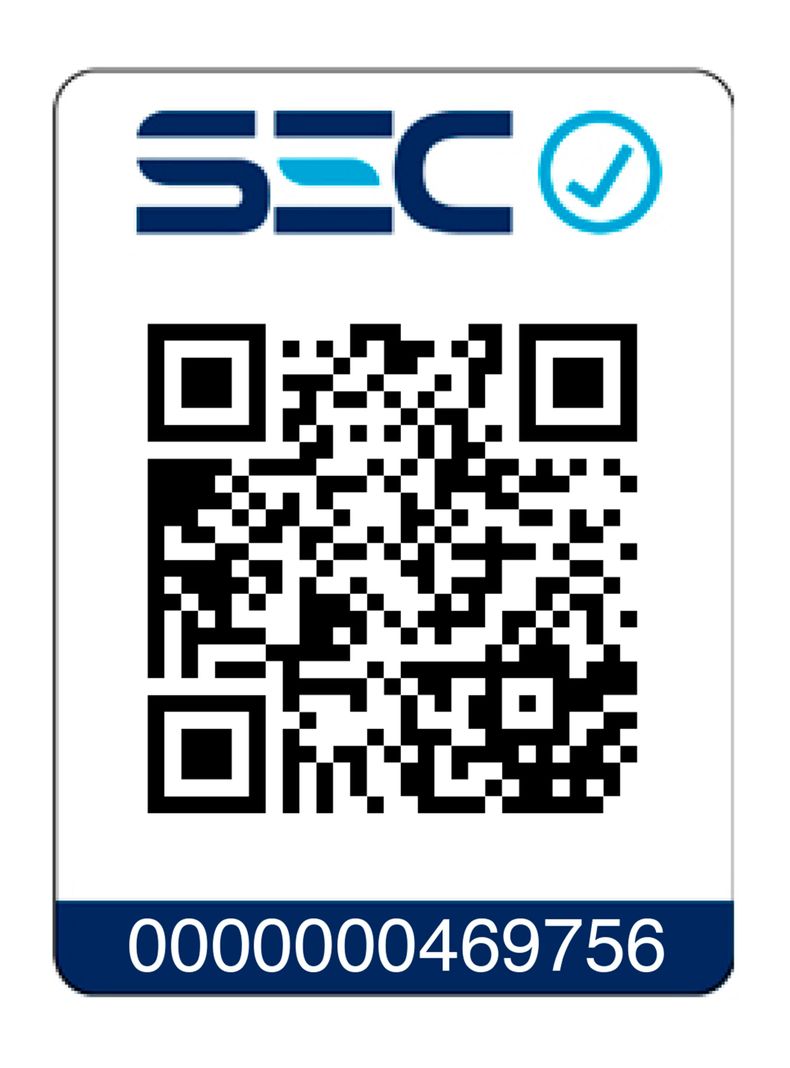 Ondulador de Pelo SG-2503-8