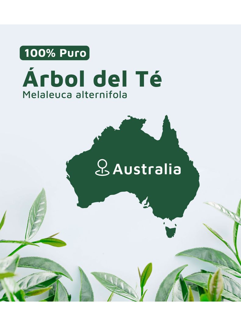 Aceite Esencial de Árbol del Té 100% Puro de 10 ml-3