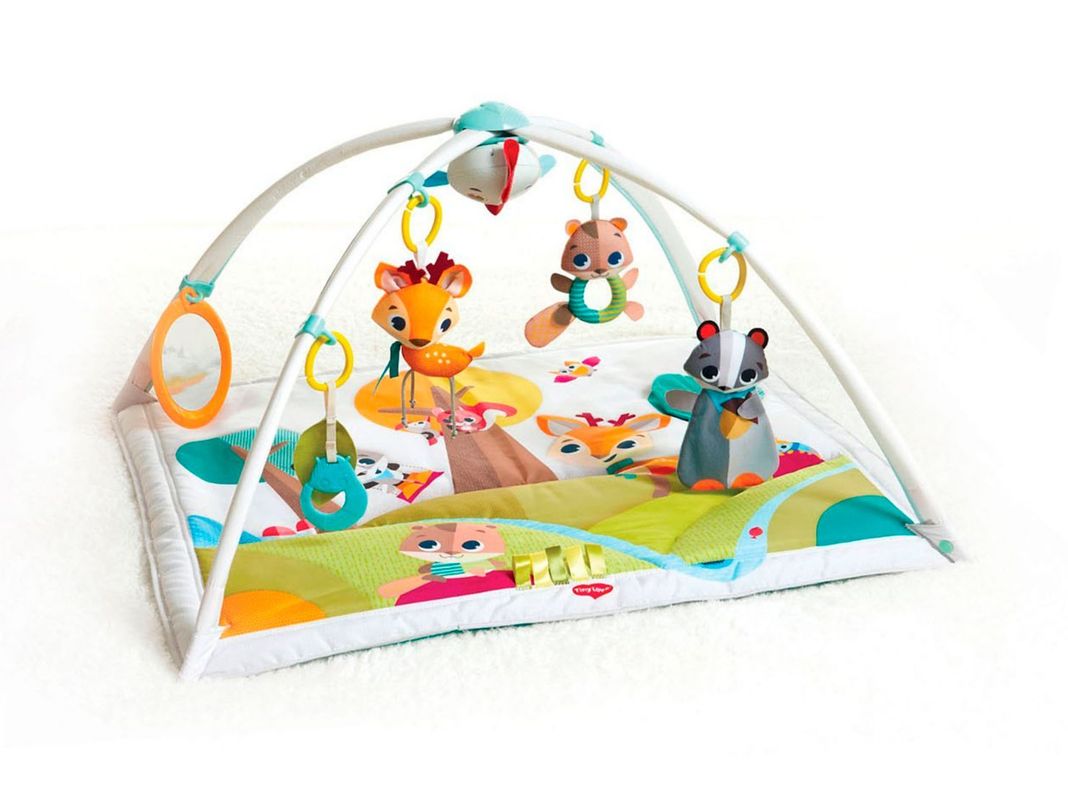 Gimnasio Tiny Love Into The Forest-0