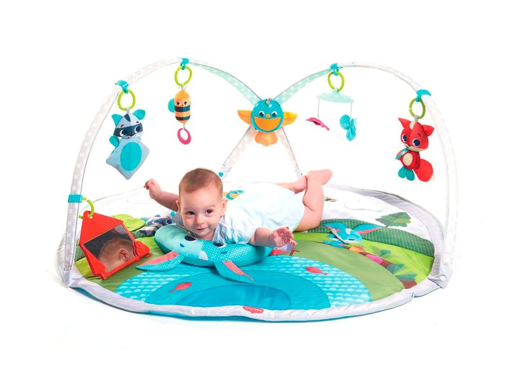 Gimnasio Dynamic Gymini-1