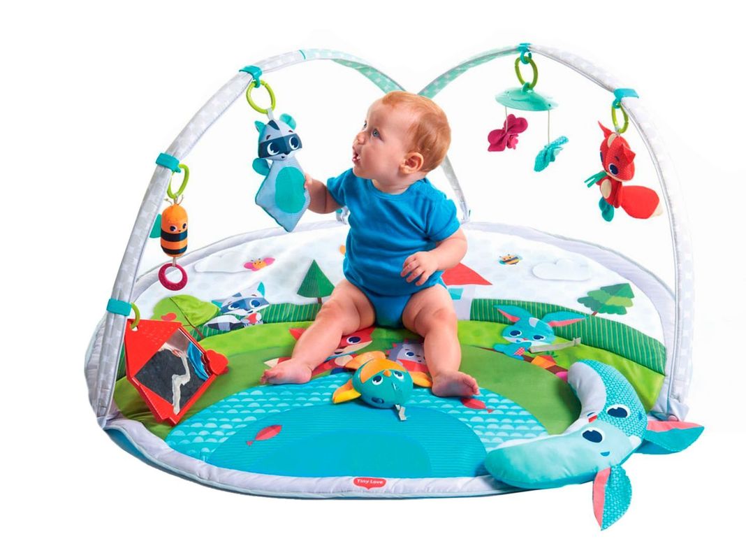 Gimnasio Dynamic Gymini-0