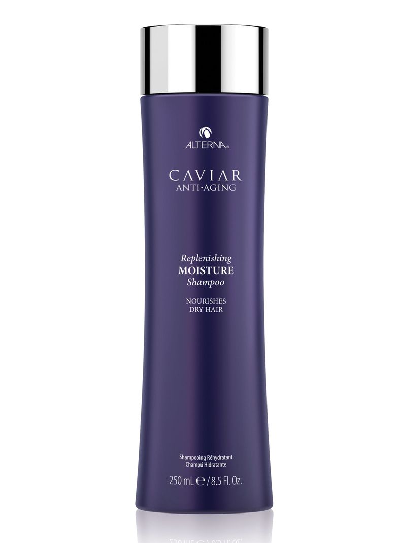 Shampoo Replenishing Moisture 250 ml-0