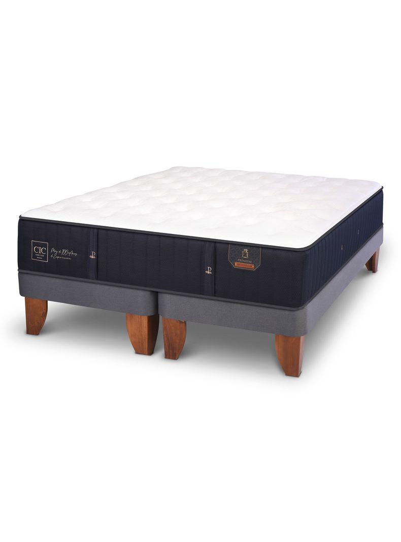 Cama Europea Premium 2 Plazas Base Dividida-0