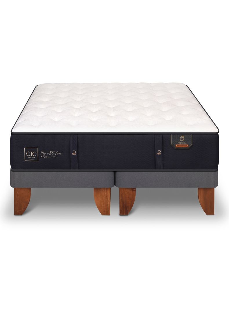 Cama Europea Premium 2 Plazas Base Dividida-2
