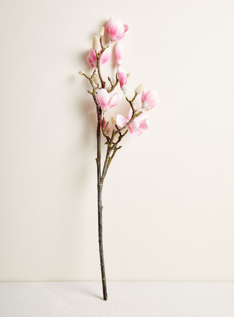 Magnolia 61 cm