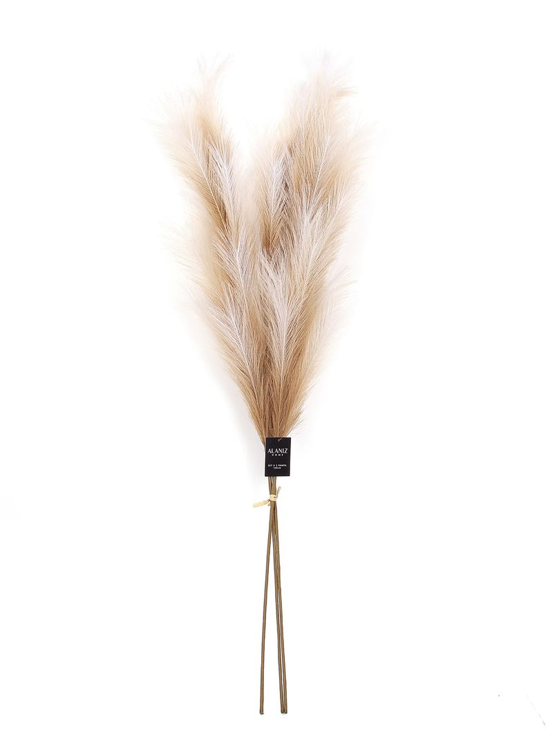 Set de 3 Pampas 130 cm