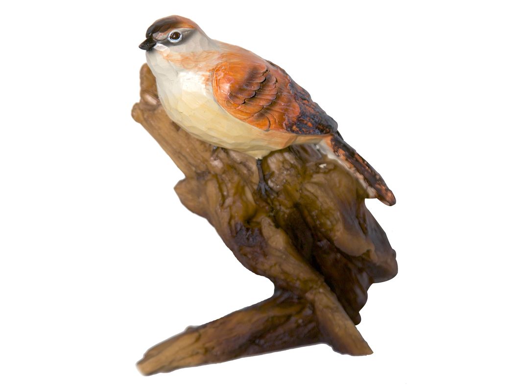 Pájaro Kadar De Poliresina, 15x10x19 cms-0