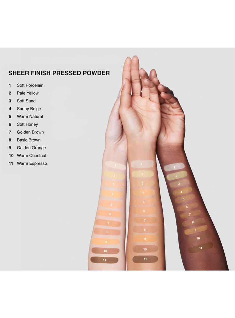 Sheer Finish Pressed Powder Basic Brown-4