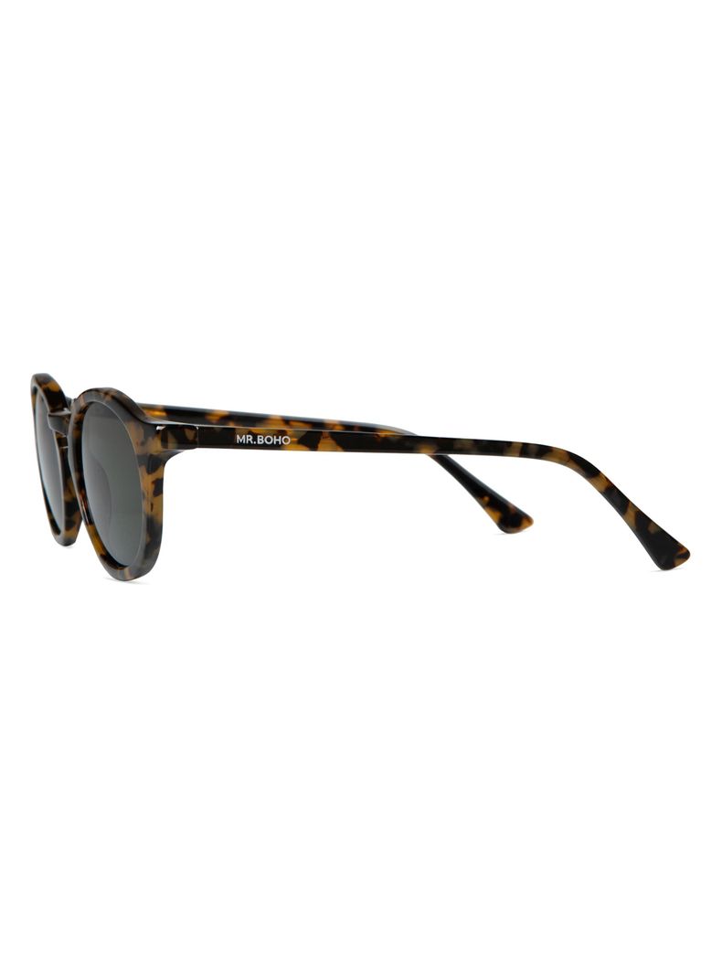 Anteojos De Sol Chamberi Hc Tortoise-2