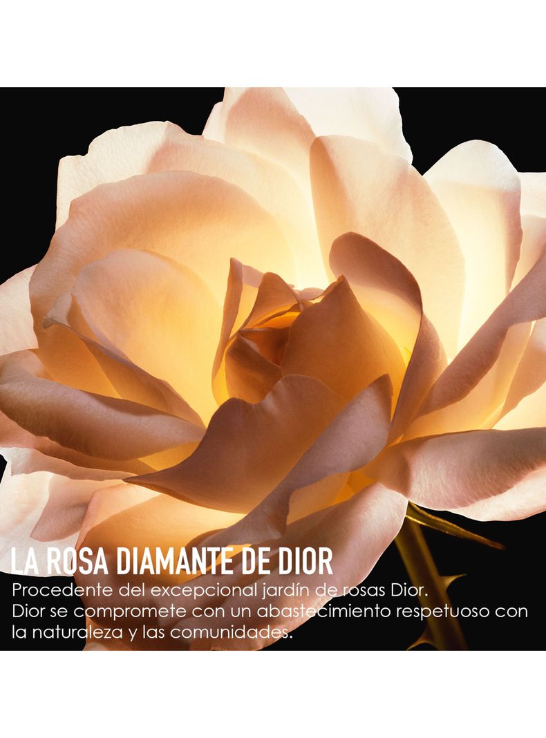 Sérum Prestige Dior La Micro-lotion de Rose 100 ml-5