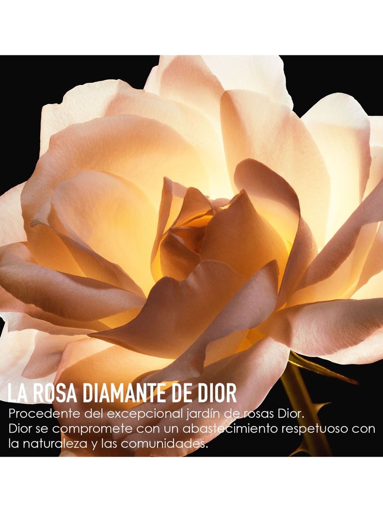 Sérum Prestige Dior La Micro-lotion de Rose 150 ml-5