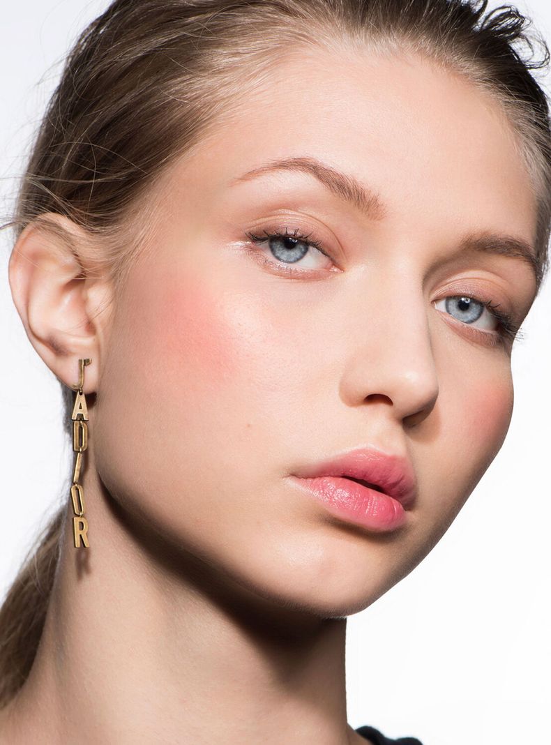 Rouge Blush Shimmer 314 Shimmer 6 g-2