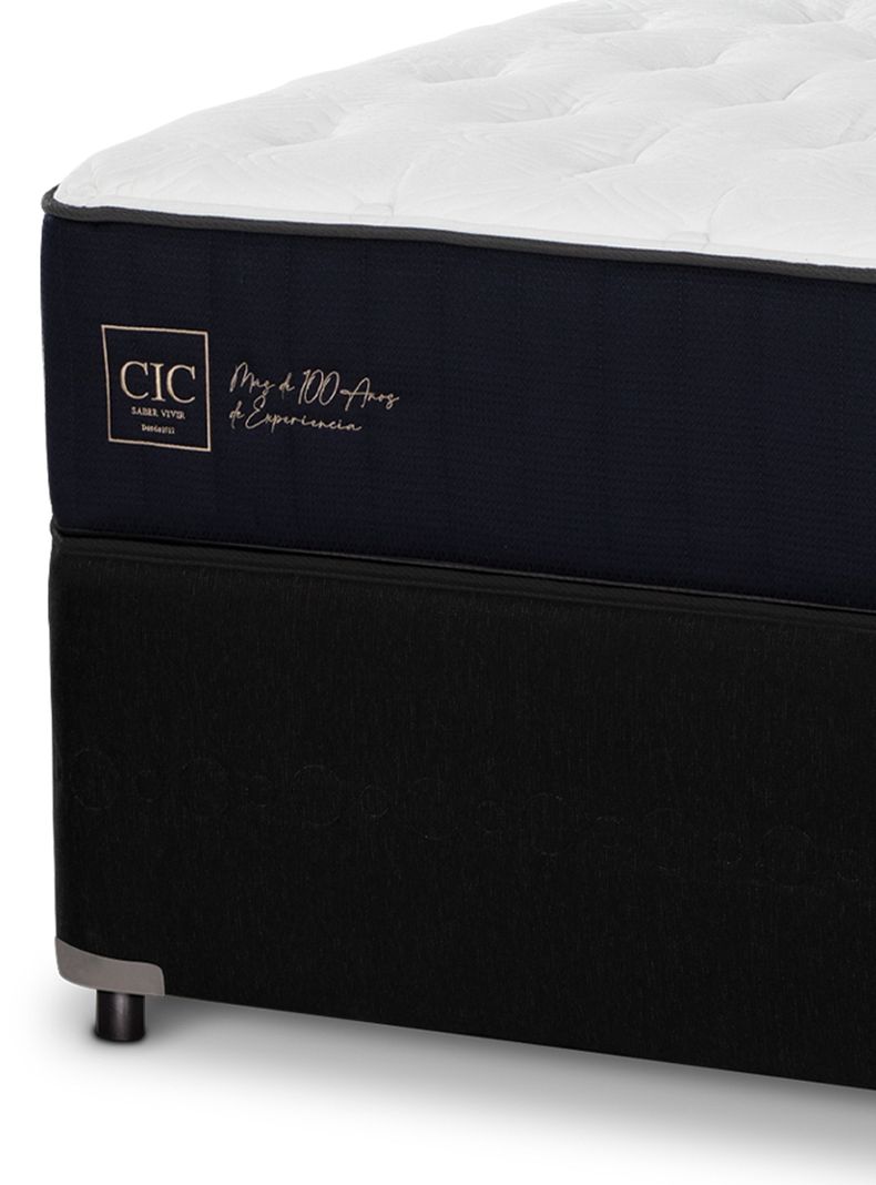 Diván Premium Black 1.5 Plazas + Respaldo Dublín-3