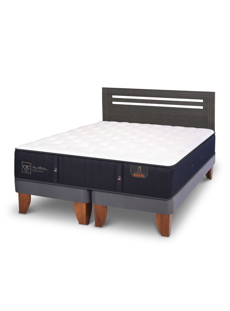 Cama Europea Premium 2 Plazas Base Dividida + Respaldo Múnich