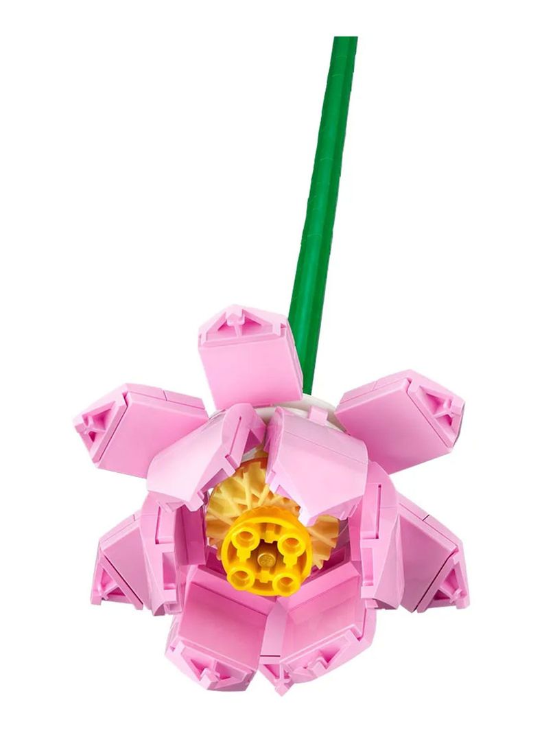 Bloques Flores de Loto-3