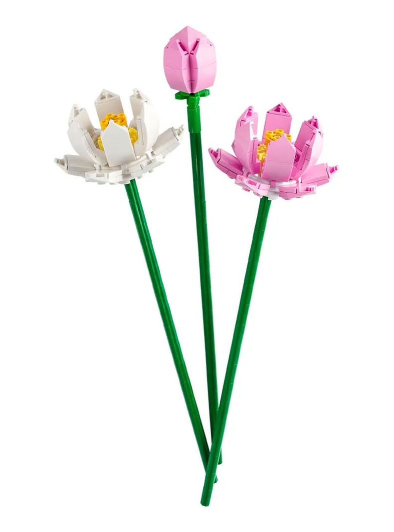 Bloques Flores de Loto-1