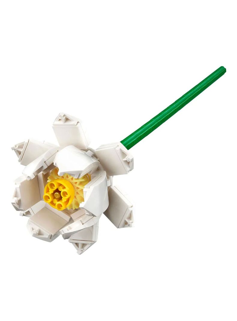Bloques Flores de Loto-2