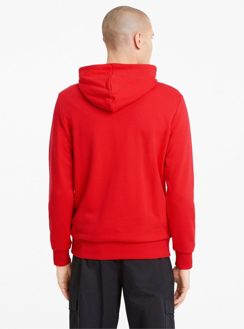 Polerón Algodón Classics Logo Hoodie Tr-1