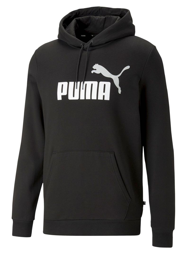 Polerón Graphic ESS+2 Col Big Logo Hoodie Fl-3