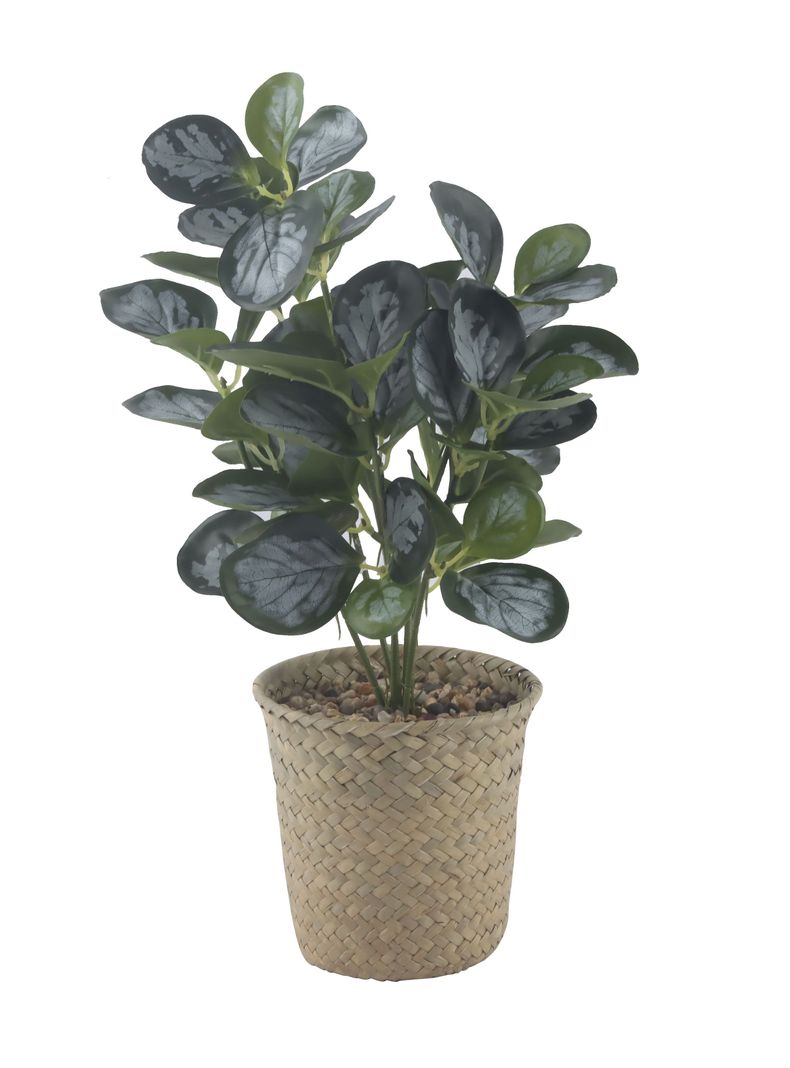Planta Artificial 36 cm