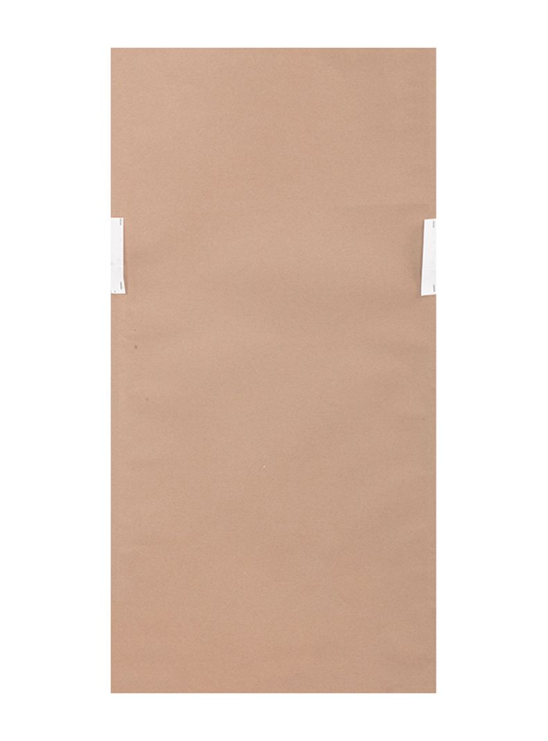 Cuadro Pluma 1 45x90 cm-1