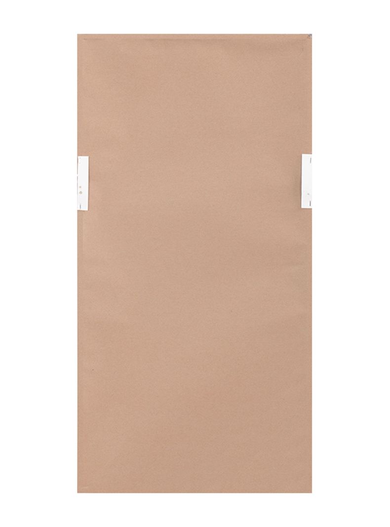 Cuadro Pluma 2 45x90 cm-1