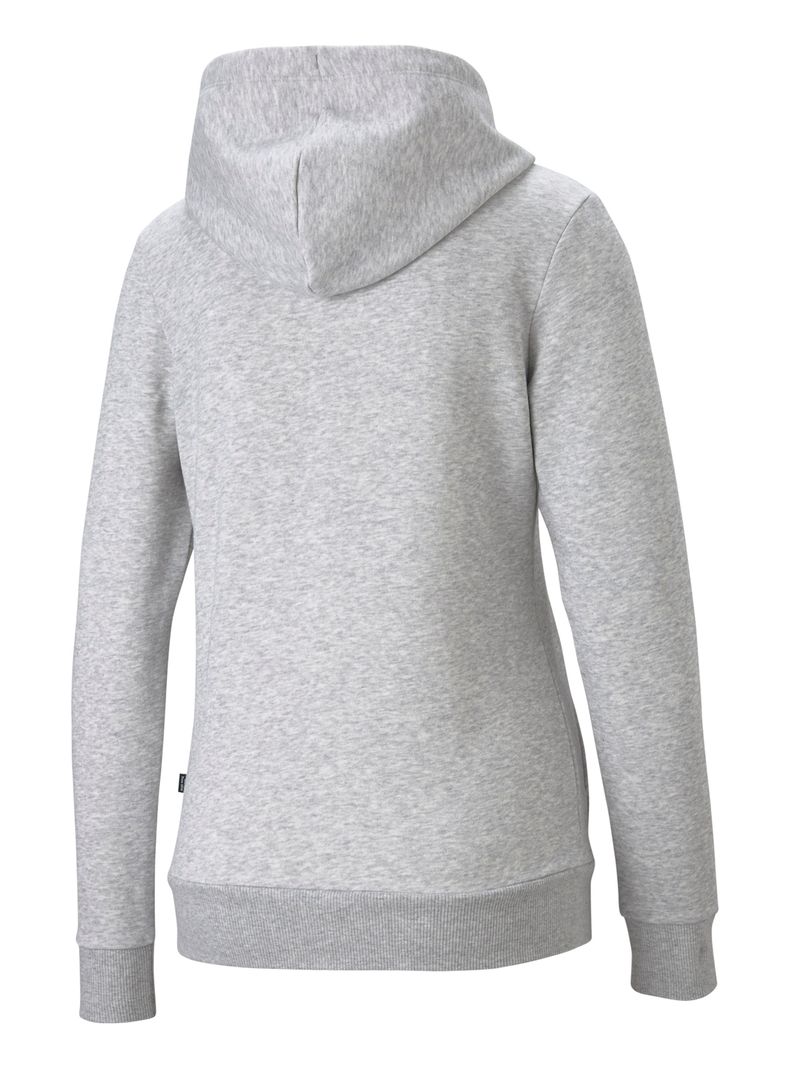 Polerón Logo ESS Hoodie FL-1