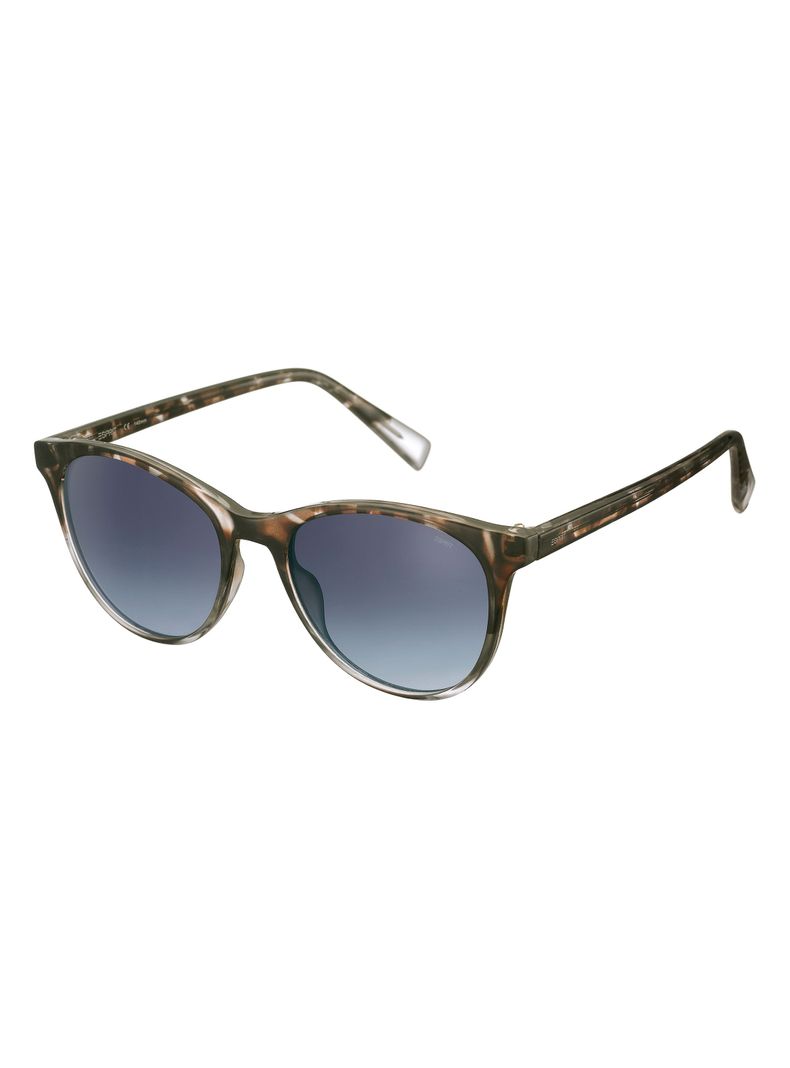 Lentes de Sol Gato-0