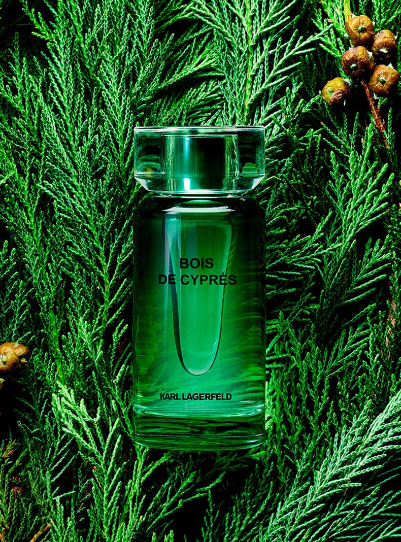 Perfume Boys de Cypres EDT Hombre 100ml Karl Lagerfeld-2