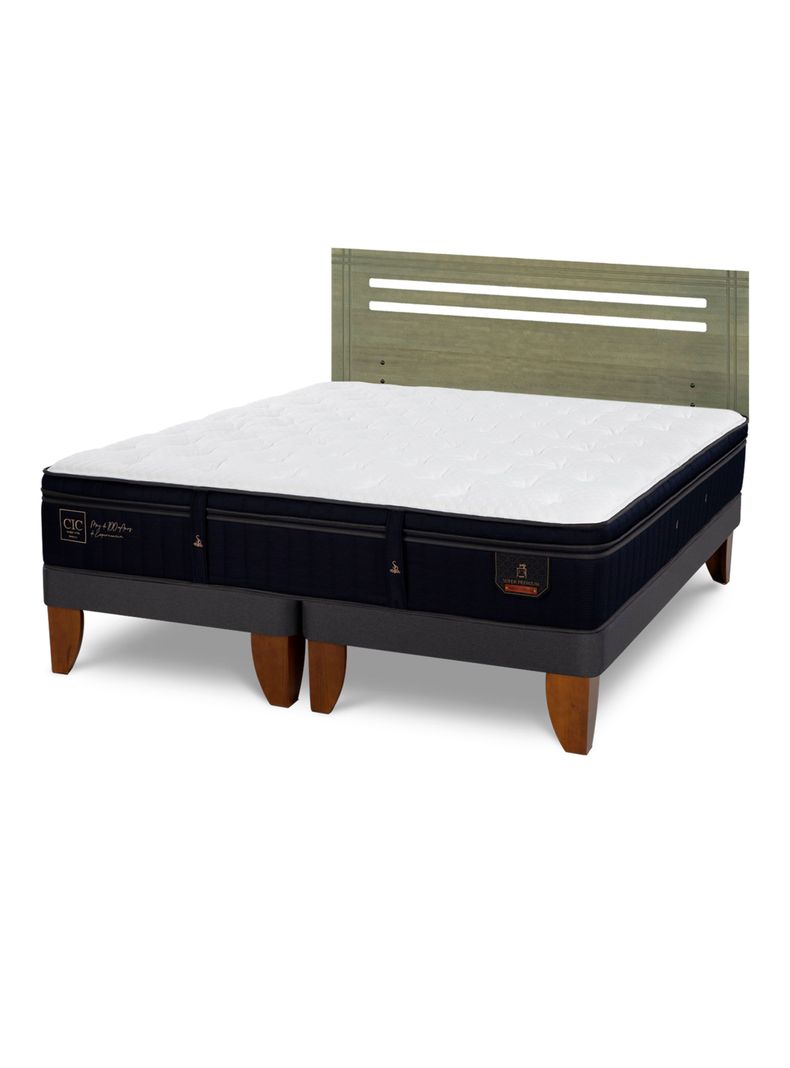 Cama Europea Súper Premium 2 Plazas Base Dividida + Respaldo Múnich Olivo-0