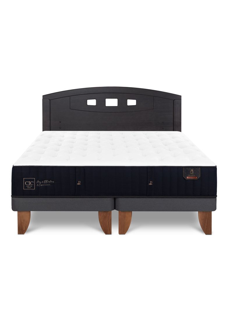 Cama Europea Premium 2 Plazas Base Dividida + Respaldo Gales Negro-2