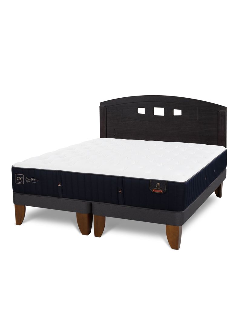 Cama Europea Premium 2 Plazas Base Dividida + Respaldo Gales Negro-0