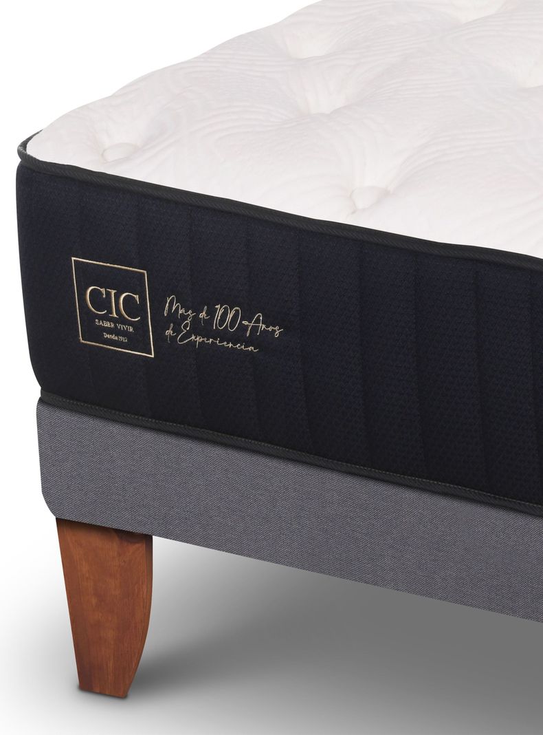 Cama Europea Premium 1.5 Plazas + Respaldo Gales Alpino-3