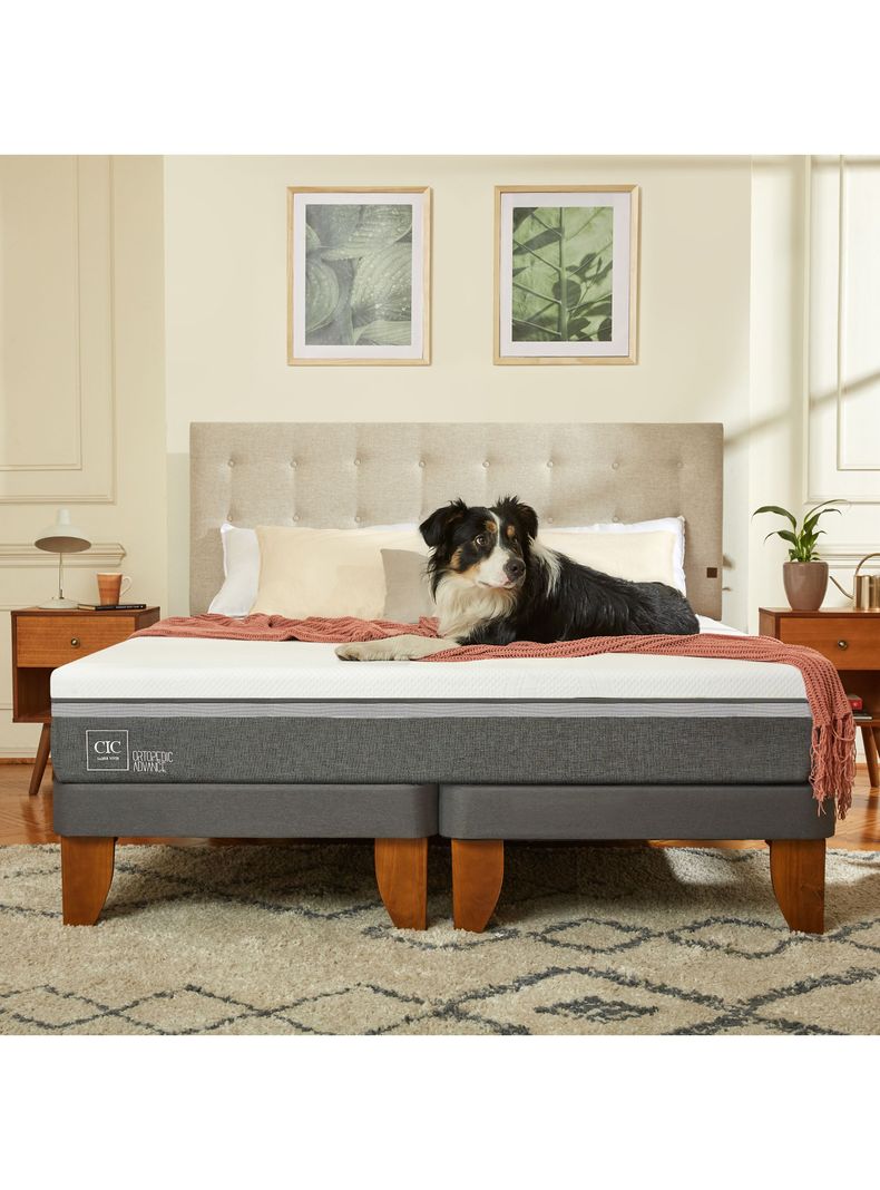 Cama Europea Ortopedic Advance 2 Plazas Base Dividida + Respaldo Torino Alpino-7