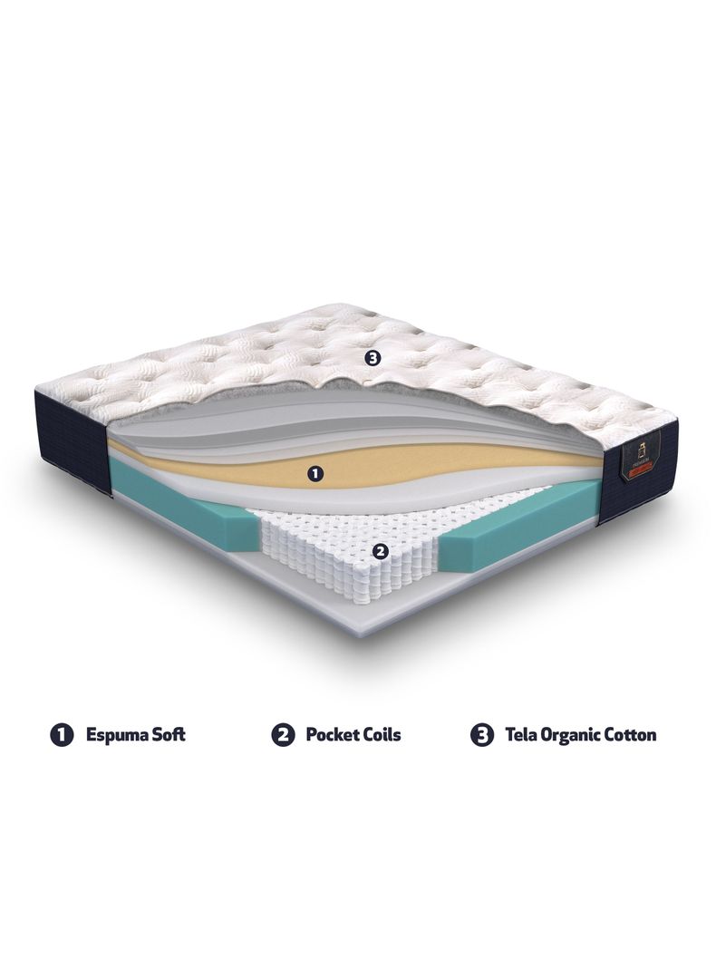Cama Europea Premium 2 Plazas Base Dividida + Respaldo Torino Alpino-7
