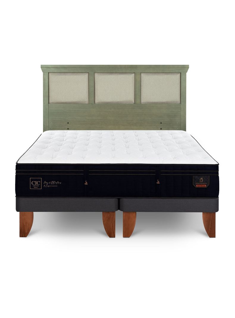 Cama Europea Súper Premium 2 Plazas Base Dividida + Respaldo Torino Olivo-2